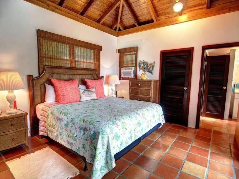 Cielo Vista Villa 3 Bdrm Sleeps 6 Heavenly View Cruz Bay 外观 照片