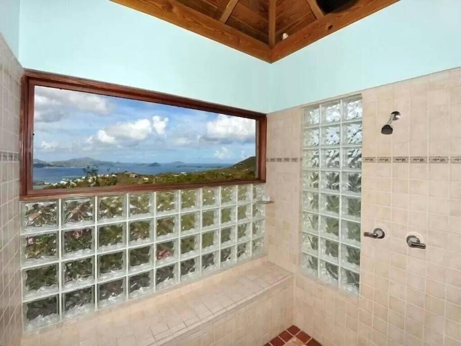 Cielo Vista Villa 3 Bdrm Sleeps 6 Heavenly View Cruz Bay 外观 照片