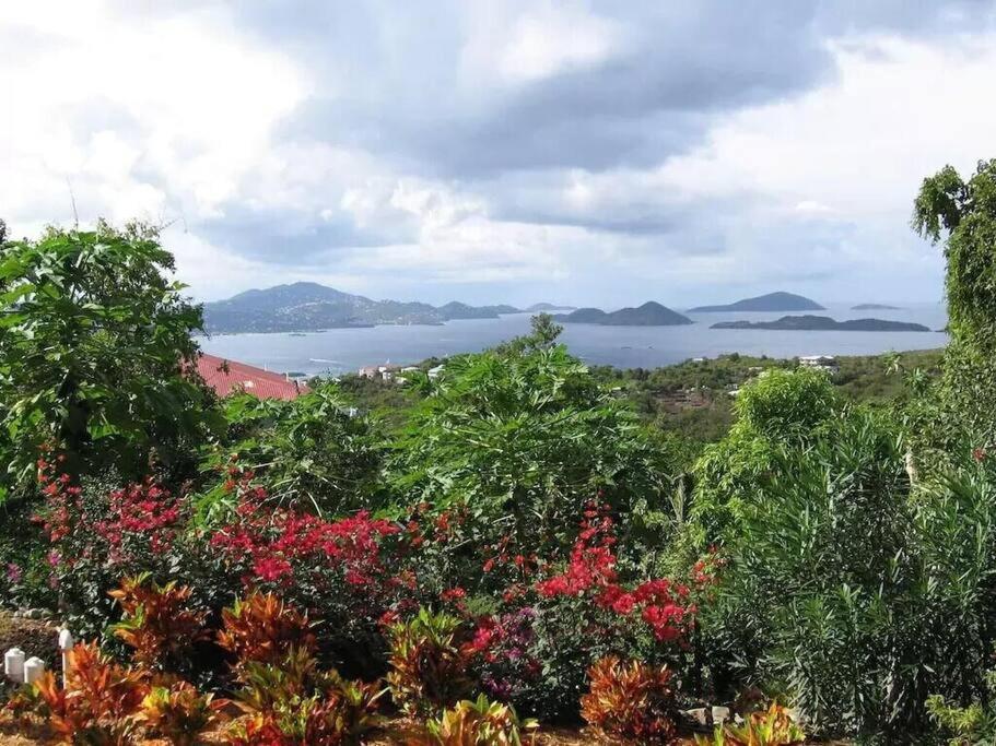 Cielo Vista Villa 3 Bdrm Sleeps 6 Heavenly View Cruz Bay 外观 照片